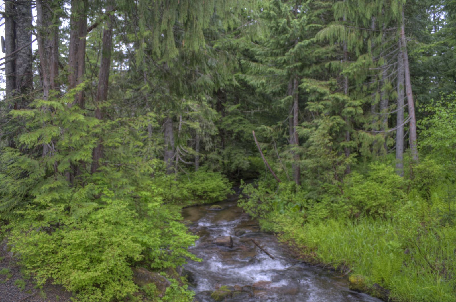 Build Your Dream Home In Government Camp Liz Warren Mt. Hood Real Estate